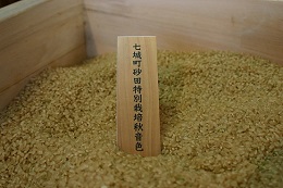 玄米・分搗き食好適米　秋音色(栽培期間中農薬化学肥料不使用)　令和3年産